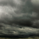 "The dark tempest forms in the North / But what of Andrew?" a statement from the nation's poets read in part.